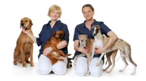 Lokal professionell veterinärklinik på Bjäre